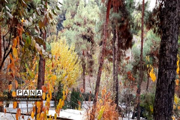 طبیعت پاییزی تهران