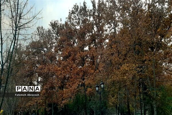 طبیعت پاییزی تهران