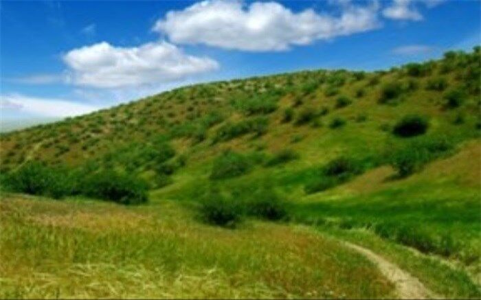 طرح آبخیزداری در یک میلیون و ۴۰۰ هزار هکتار از مراتع کشور اجرا شد