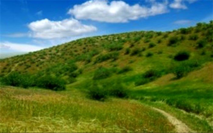 طرح آبخیزداری در یک میلیون و ۴۰۰ هزار هکتار از مراتع کشور اجرا شد