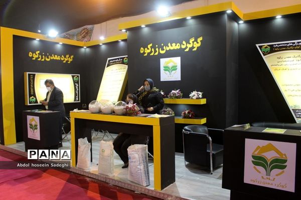 سومین نمایشگاه بین المللی تخصصی خرما در بوشهر