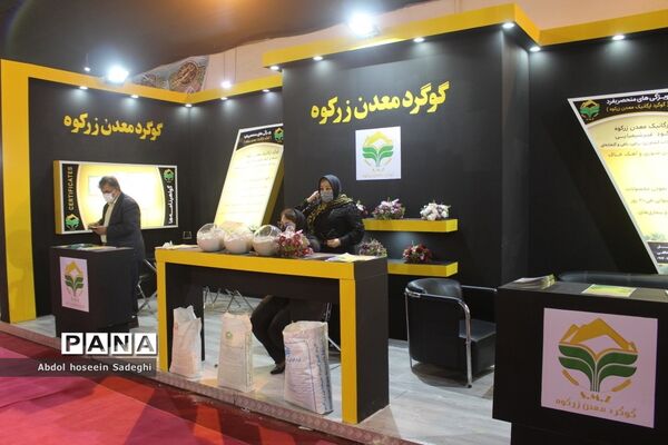 سومین نمایشگاه بین المللی تخصصی خرما در بوشهر