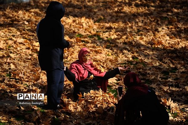 طبیعت پاییزی بوستان ملت