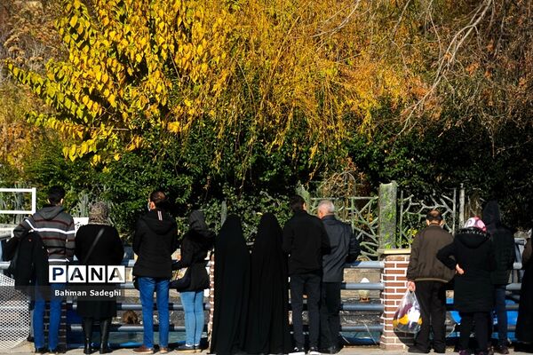 طبیعت پاییزی بوستان ملت
