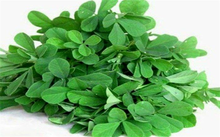 برای کاهش چربی خون شنبلیله بخوریم؟