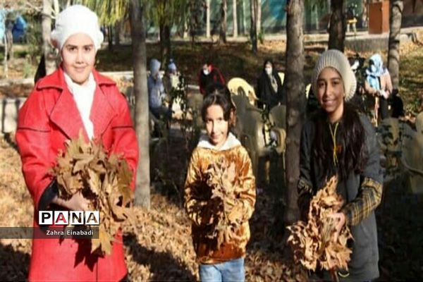 جشنواره پاییزی در صفادشت