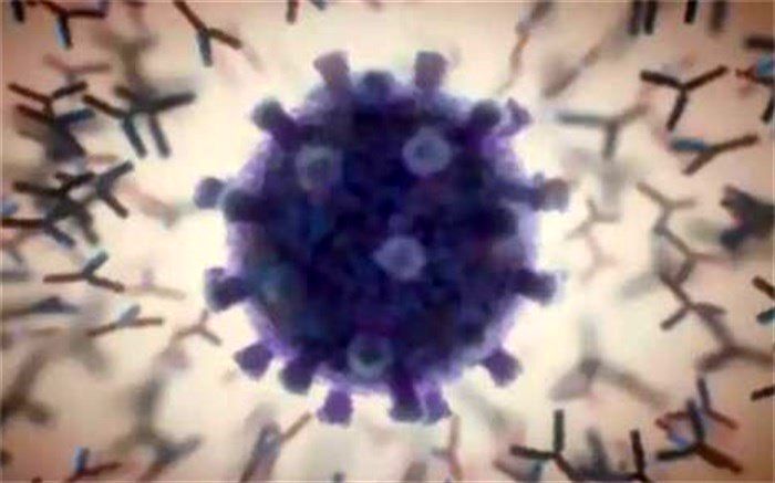 بخشنامه‌ای برای مقابله با اُمیکرون به سازمان بنادر ابلاغ نشده است