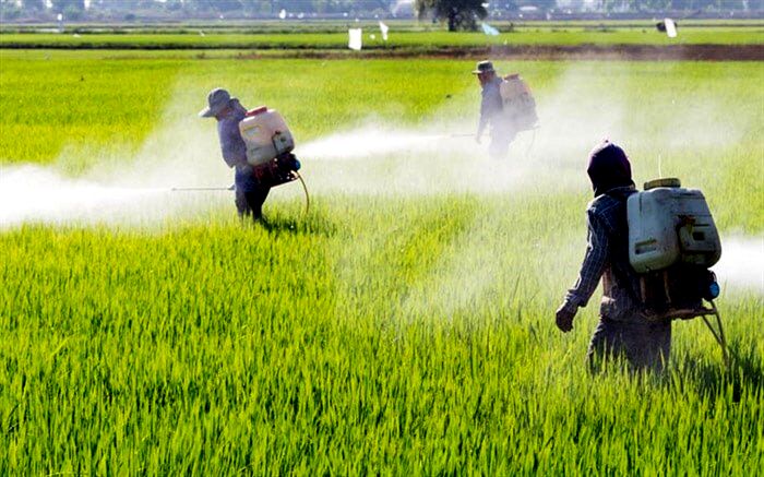 کاهش 4 درصدی مصرف آفتکش‌های پرخطر