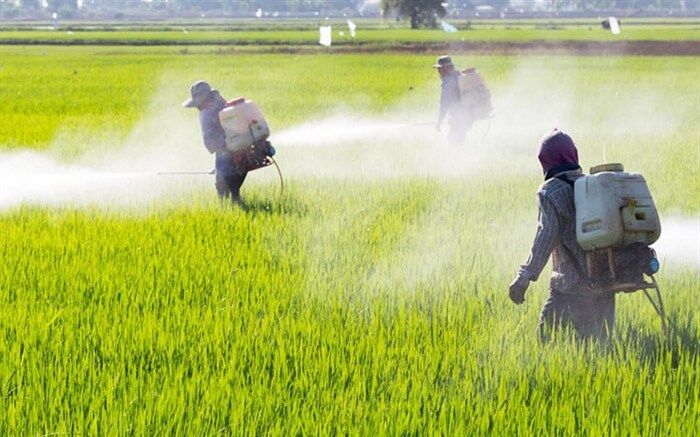 کاهش 4 درصدی مصرف آفتکش‌های پرخطر