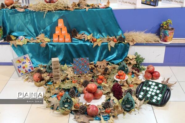 افتتاحیه هفتمین دوره المپیاد رویش مرحله ناحیه‌ای در شیراز