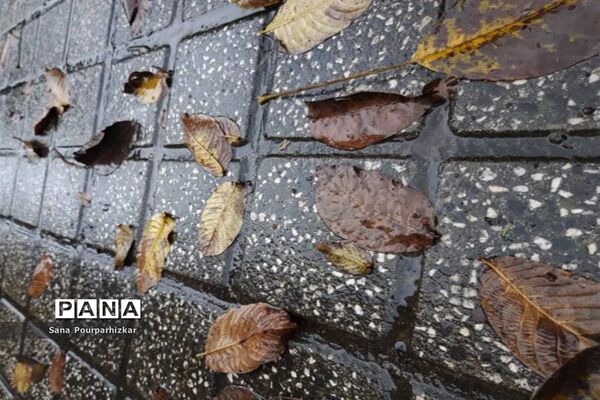 آخرین روزهای پاییز در تهران