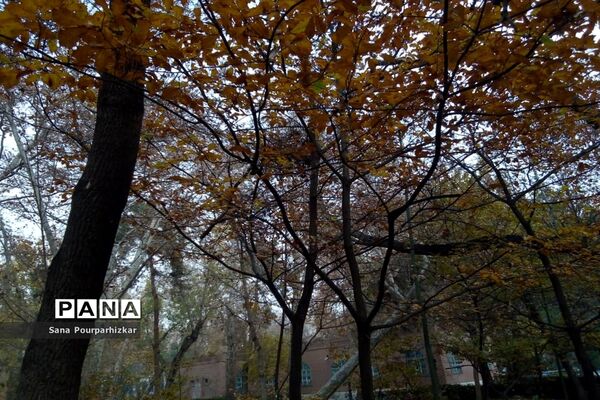 آخرین روزهای پاییز در تهران