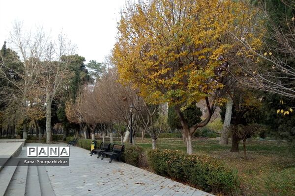 آخرین روزهای پاییز در تهران