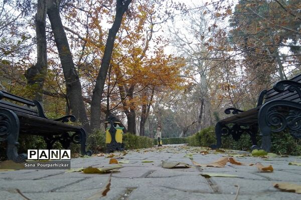 آخرین روزهای پاییز در تهران