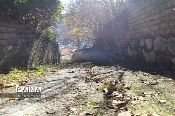 آخرین روزهای پاییز در تهران