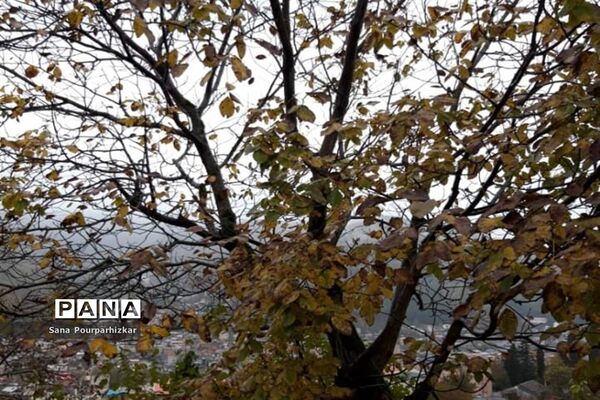 آخرین روزهای پاییز در تهران