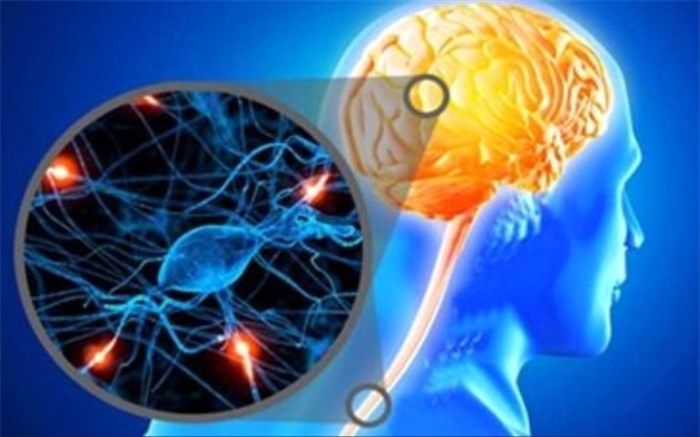 داروهای 700 هزار تومانی ام اس،7 میلیون تومان شده است