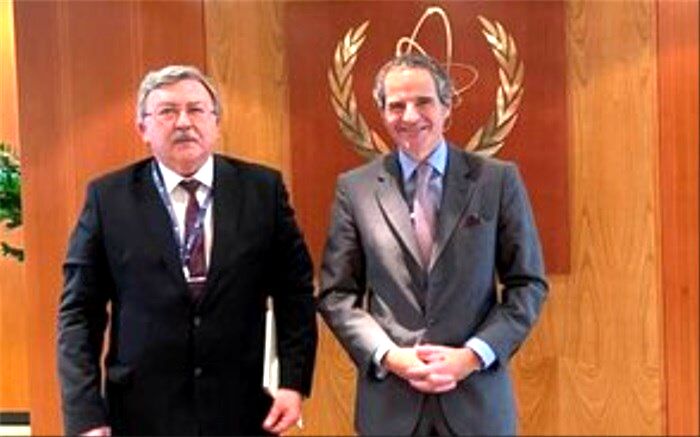 گروسی و اولیانوف در وین با یکدیگر گفت‌وگو کردند