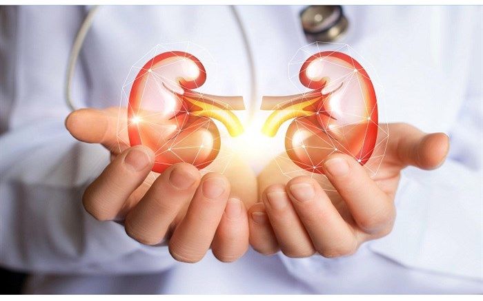 تومورهای کلیه چگونه درمان می‌شوند؟
