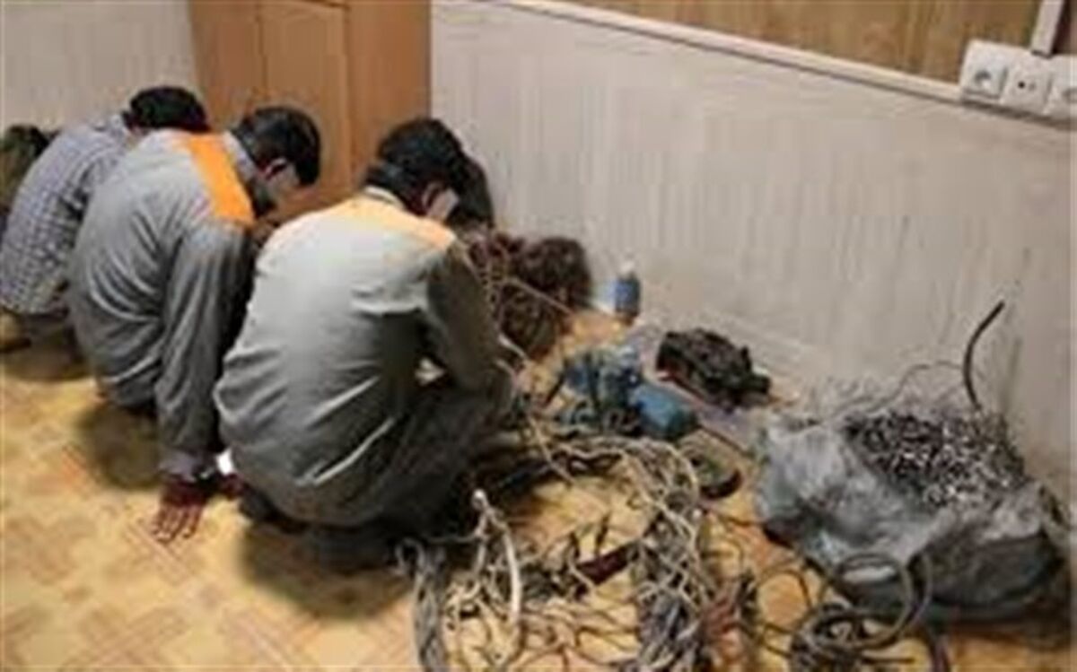 دستگیری سارقان کابل برق در اهر
