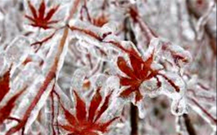 باد و یخبندان شبانه سیستان و بلوچستان را فرا می‌گیرد