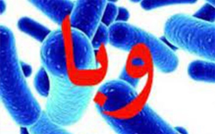 گزارش سریع موارد بیماری وبا از مهم‌ترین عوامل پیشگیری است