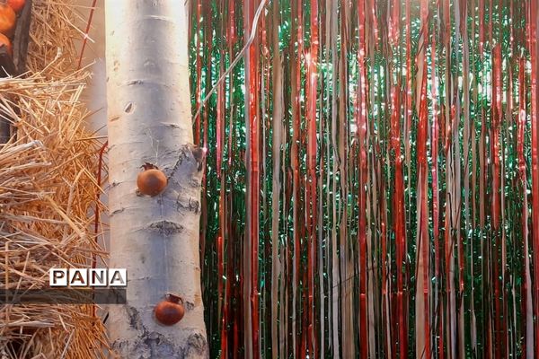 جشنواره انار تهران در گذر گردشگری پارک آب و آتش