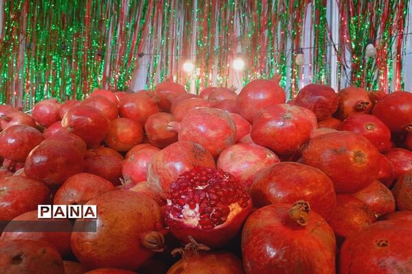 جشنواره انار تهران در گذر گردشگری پارک آب و آتش