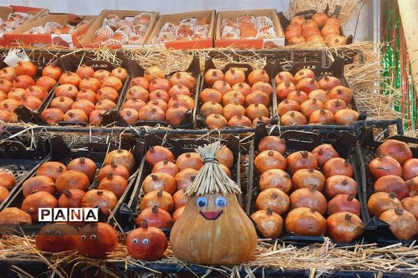 جشنواره انار تهران در گذر گردشگری پارک آب و آتش