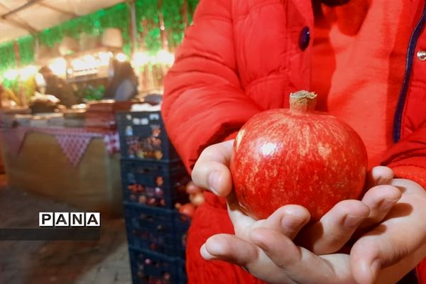 جشنواره انار تهران در گذر گردشگری پارک آب و آتش