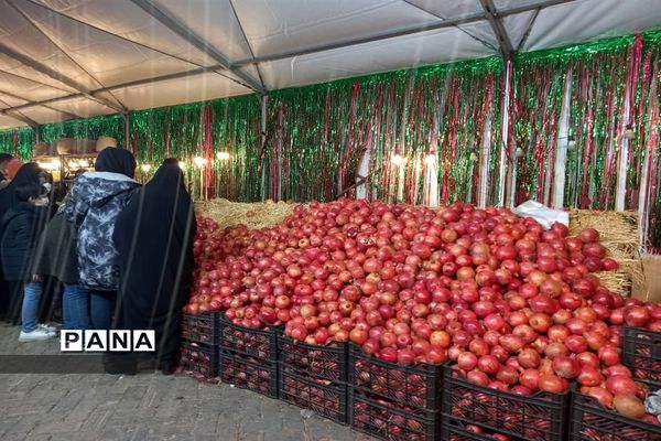 جشنواره انار تهران در گذر گردشگری پارک آب و آتش