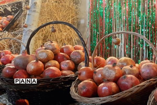 جشنواره انار تهران در گذر گردشگری پارک آب و آتش