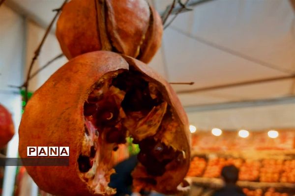 جشنواره انار تهران در گذر گردشگری پارک آب و آتش