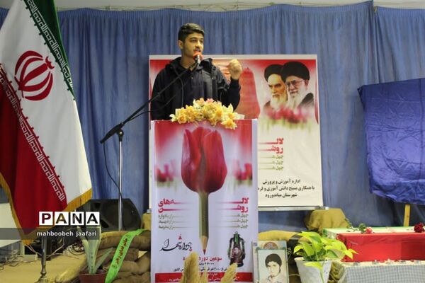 طرح ملی لاله‌های روشن در میاندورود