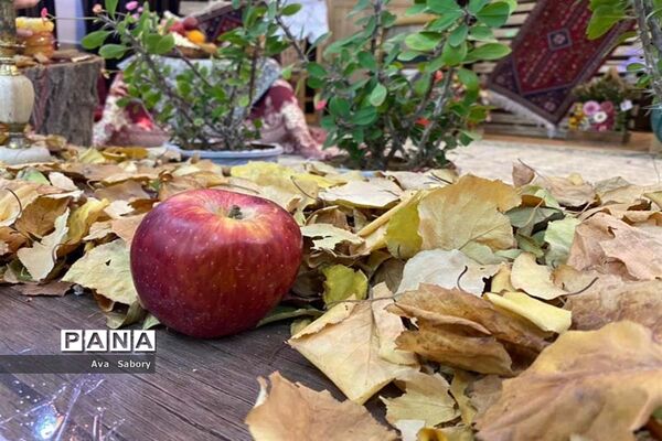 شاعرانه‌های یلدای فاطمی در آباده