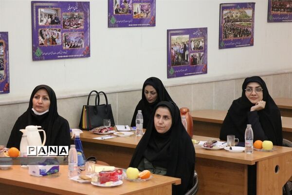 دوره تکمیلی تربیت مدرسین خبرگزاری پانا در خراسان رضوی