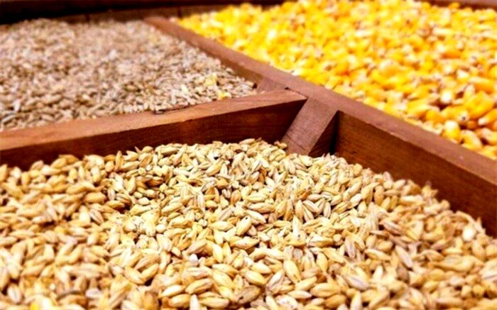 قدیری: حذف ارز ۴٢٠٠ تومانی نهاده‌های دامی قطعی است