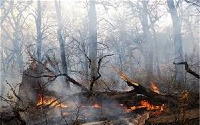 آتش سوزی ۵۰ هکتاری در عرصه های جنگلی گیلان
