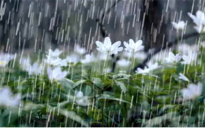 بارش باران ‌و برف در نیمه شمالی کشور