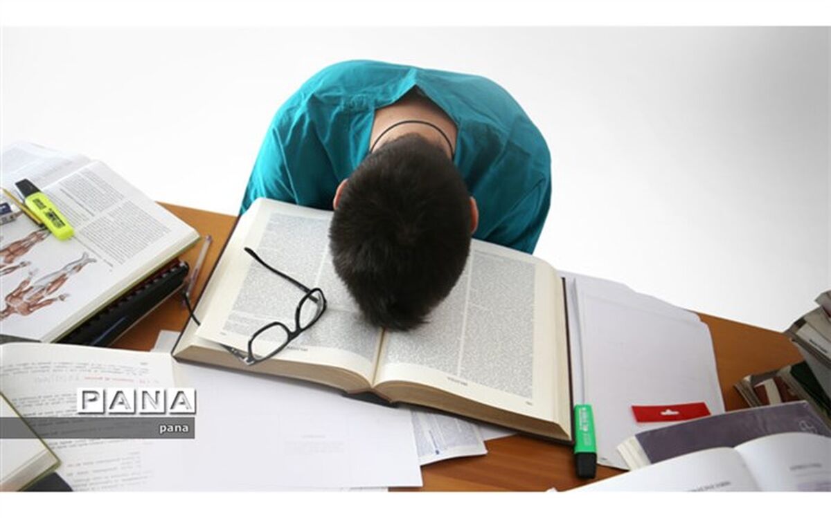 هیولای امتحان را به همستری زیبا تبدیل کنید