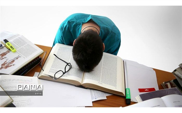 هیولای امتحان را به همستری زیبا تبدیل کنید