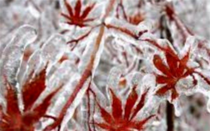 دمای سیستان و بلوچستان 7 تا 10 درجه کاهش می‌یابد