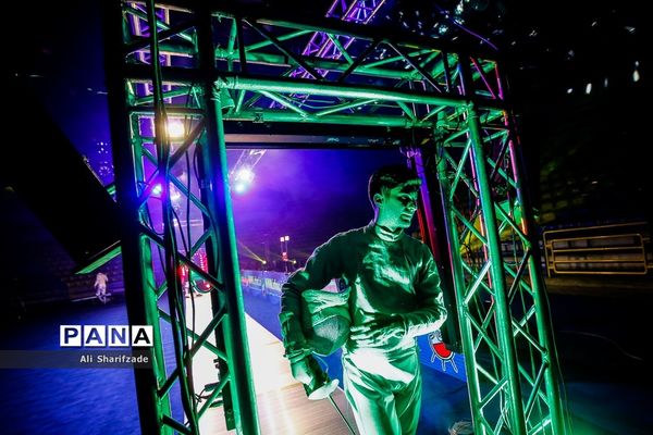 لیگ برتر شمشیربازی