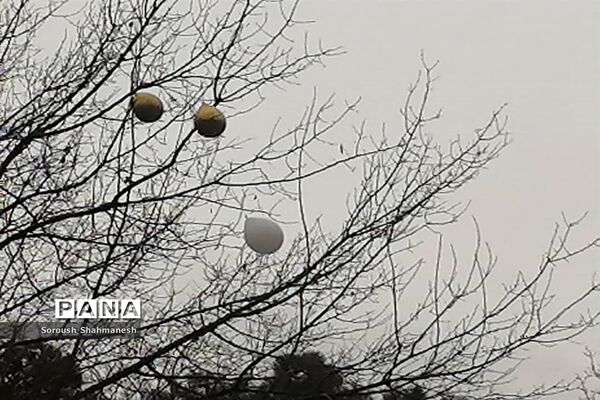 طراوت زمستانی شیراز پس از بارش نخستین باران فصلی