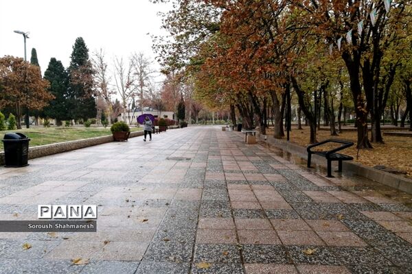 طراوت زمستانی شیراز پس از بارش نخستین باران فصلی