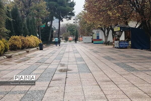 طراوت زمستانی شیراز پس از بارش نخستین باران فصلی