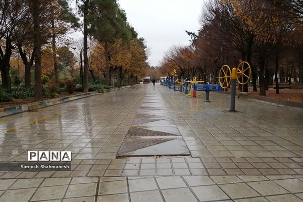 طراوت زمستانی شیراز پس از بارش نخستین باران فصلی