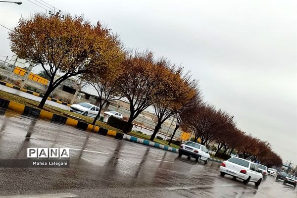 طراوت زمستانی شیراز پس از بارش نخستین باران فصلی