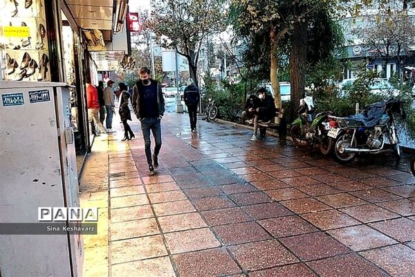 طراوت زمستانی شیراز پس از بارش نخستین باران فصلی