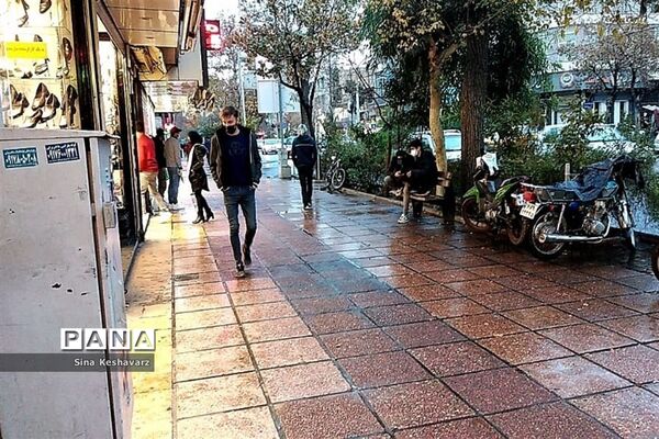 طراوت زمستانی شیراز پس از بارش نخستین باران فصلی